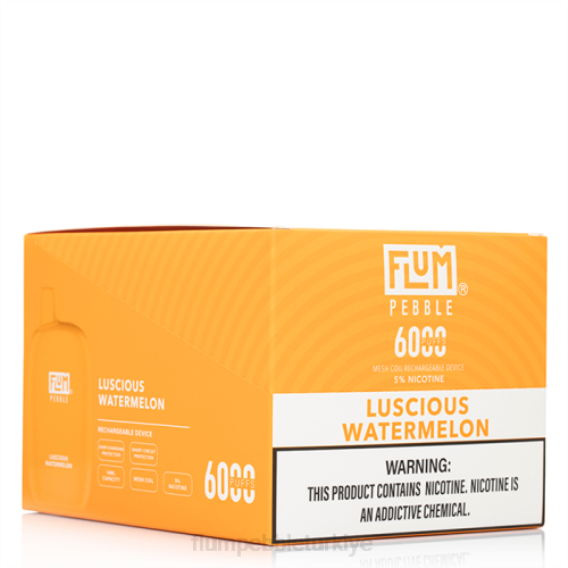 Flum Pebble Türkiye - FLUM PEBBLES 6000 puf 10 paket tatlı karpuz 842651