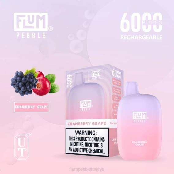 Flum Pebble Vape Flavors - FLUM PEBBLES 6000 nefes kızılcık üzümü 842627