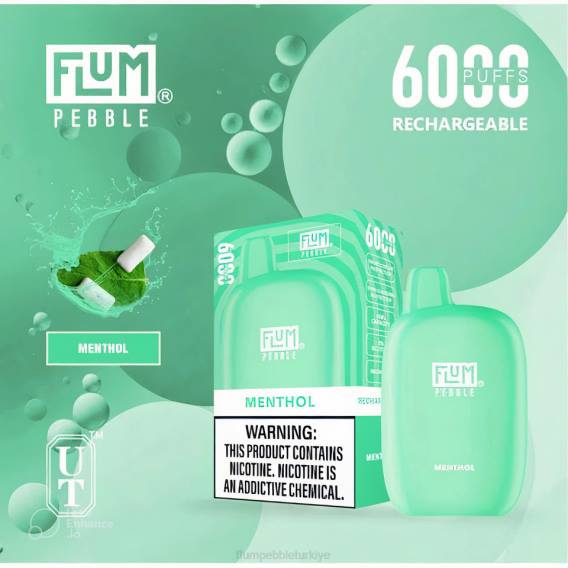 Flum Pebble Vape Flavors - FLUM PEBBLES 6000 nefes mentol 842657