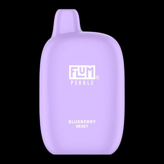 Flum Pebble Vape Flavors - FLUM PEBBLES 6000 nefes yaban mersini nane 842617