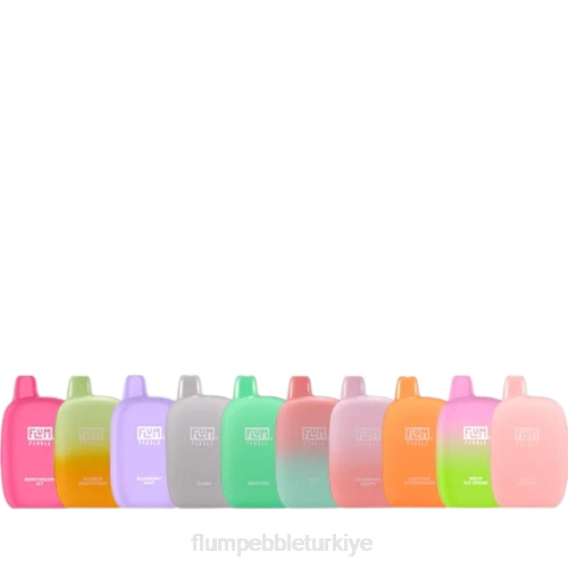 Flum Pebble Vape Ingredients - FLUM PEBBLES 6000 puf 10 paket çeşitlilik 842630