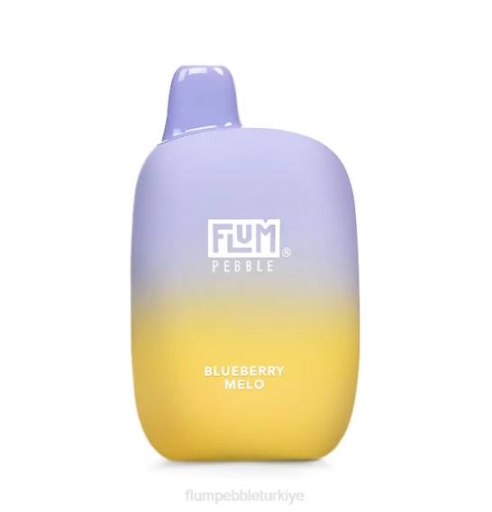 Flum Pebble Vape Near Me - FLUM PEBBLES 6000 nefes yaban mersinli melo 842616