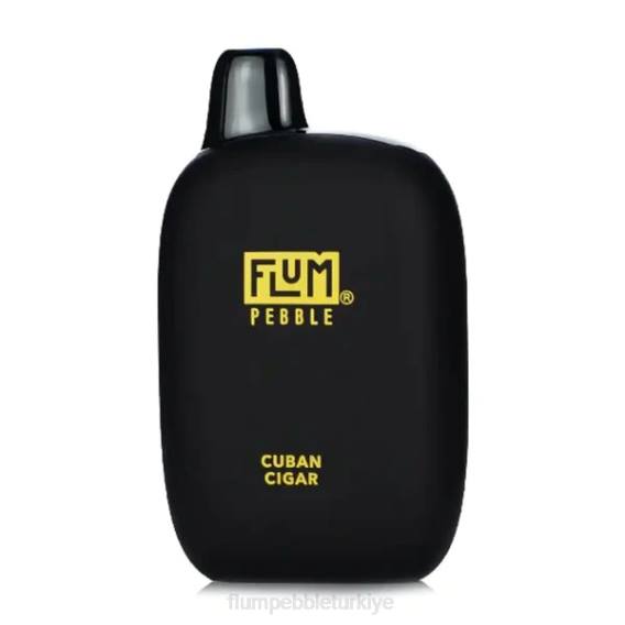 Flum Pebble Vape Price - FLUM PEBBLES 6000 nefes Küba purosu 842629