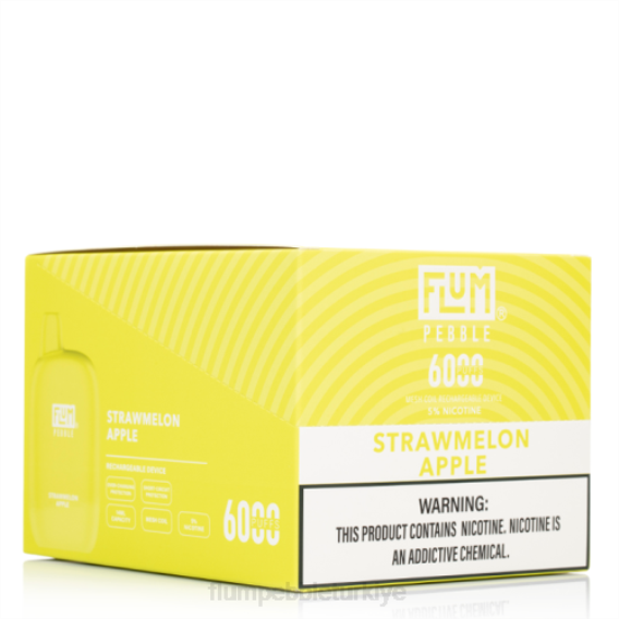 Flum Pebble Vape Price - FLUM PEBBLES 6000 puf 10 paket kavun elması 842679