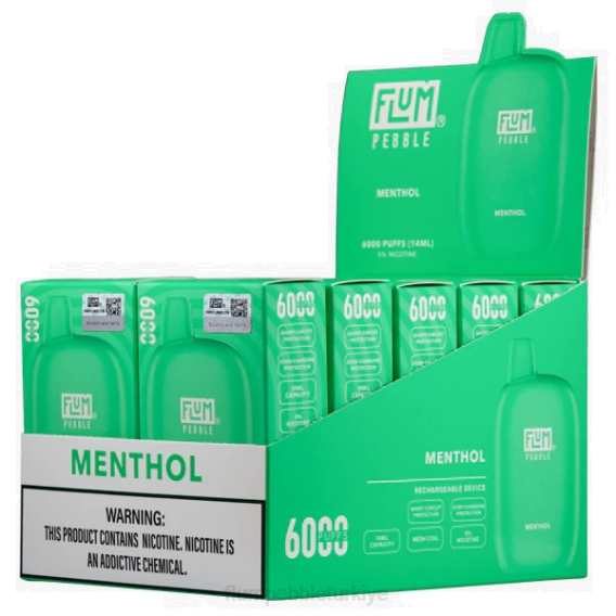 Flum Pebble Vape Review - FLUM PEBBLES 6000 puf 10 paket mentol 842658