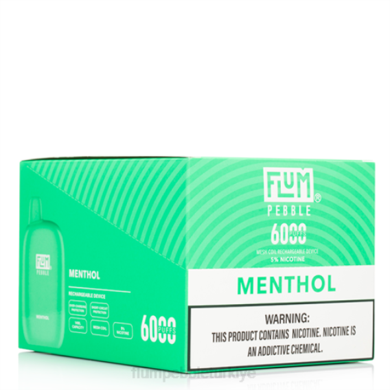 Flum Pebble Vape Review - FLUM PEBBLES 6000 puf 10 paket mentol 842658