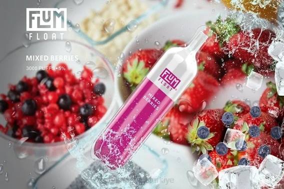 Flum Pebble Vape Price - FLUM FLOAT 3000 nefes karışık meyveler 842659
